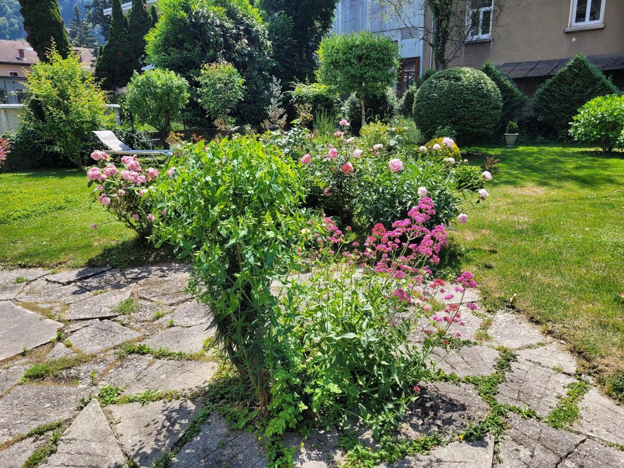 Апартаменты Les Colibris - Standing Et Jardin - 3 Etoiles Клюз Экстерьер фото
